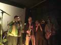 VEGETARIAN DOG'Z BAND - Bandulu