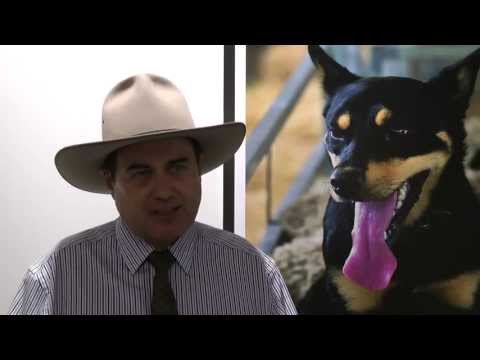 Fatcow.com.au visits the 2013 Royal Easter Show image