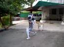 shoaib-vs-sehwag.html