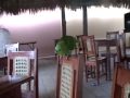 Nicaragua Parrot Talking - His name is Ruen.