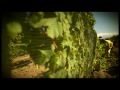 DOS LUNAS | GUALTALLARY  WINE LODGE