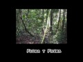Biodiversidad en el Perú