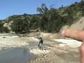 Road/River Cazale 2008