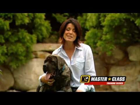K9 Master Class