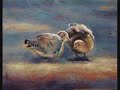 Sandy Byers Bird Pastel Demo with Music Sandy Byers Bird Pastel Demo with Music