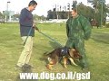 DOG TRAINING DECOY COURSE LEV PRAEE DOG TRAINING DECOY COURSE LEV PRAEE