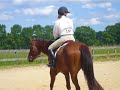 Cantering in Pleasure Cantering in Pleasure