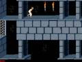 Prince of Persia 1 Extras (PC, DOS)