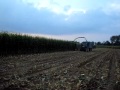 insilato mais 6910 e dumper e jd 6400