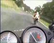Guarda