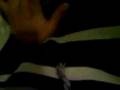 videos de Juanma