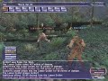 Final fantasy XI 11 rng/bst chain5 solo