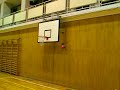 ハニービー動画