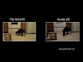 To get the most out of this video, make sure you click the 
