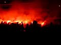 2006 World Cup - Saarbrücken - crazy crowd w/Bengalos