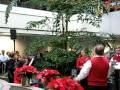 Christmas Caroling at the Auto Club (AAA) Part 1 of 2