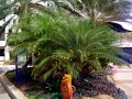 360-Isla-de-Margarit