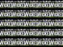 Defying Gravity 日本語歌詞