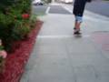 videos de hodgepodge's aka david hodge part in the nesting