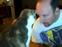 Headbutting with Nellie