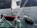 videos voile