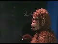 chachacha  rolando el mono matematico 1 