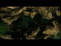 Zero 7 - Futures