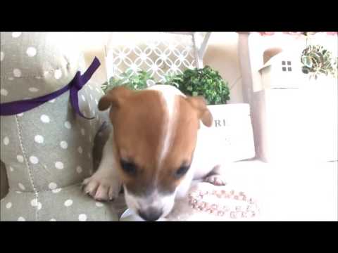 YouTube Preview Image