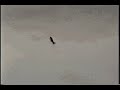 usc-aiaa-dbf-2007.html
