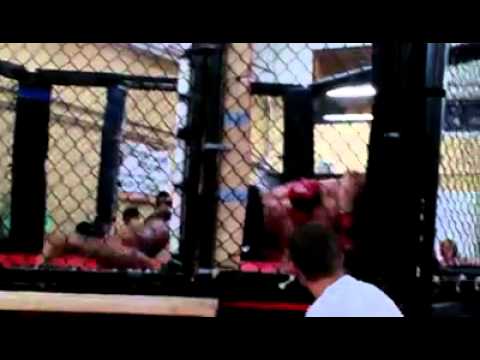 boedigheimer - boedigheimer vs ruiz.