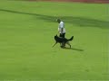 Tyson von der Schiffslache BSP 2006 C