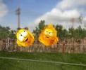 los pajaritos los pajaritos