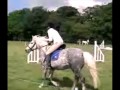 My Horse Journey (I) My Horse Journey (I)