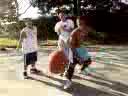 Ballinn