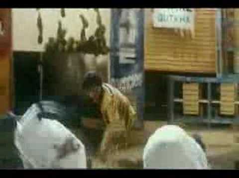 Baasha