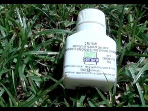 how to fertilize a monkey nut tree