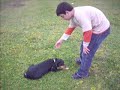 Travel to Alaçam-Adventure Dog