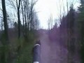Bikejoring @ Binbrook Conservation area with Tiku, Mochi and Kena.I was having camera issues, so this footage isn't the best.  Also, it was a beautiful day and the glare off the lake does something weird to my camera!  :-/