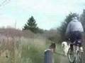 Bikejor 11.11.07