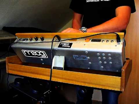 moog minimoog