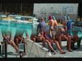 Askartza E.H.U Waterpolo Preliminar Cadete 2007