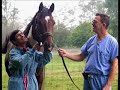 Barbaro - Be It Known Barbaro - Be It Known