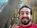 piscinas: encendiendo el carbon