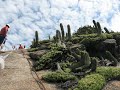 Rapel Pedra da Tartaruga Rapel Pedra da Tartaruga