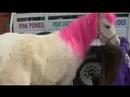 my little pony