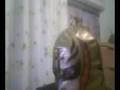 videos de ¡¡Buenas noticias!!
