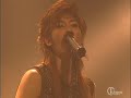 The Trax - Paradox [live]