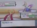 Pokemon WiFi Battle 30 (YukiJadenSurvives)