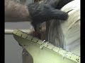 Woodturning tool Ci1 Easy Rougher- Carbide Insert