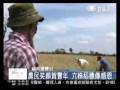 20081109 慈濟助耕緬甸大豐收 飽滿稻穗呈上人